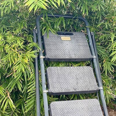 My HBTower Step Ladder, she lives outside with 0 maintenance, be kinder to yours. HBTower Step Ladder, Folding Step Stool with Wide Anti-Slip Pedal, Sturdy Steel Ladder, Convenient Handrail, Lightweight, Portable Steel Step Stool